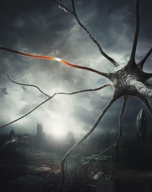 Нейрофизиологические основы сознания и его уровни Нейрофизиологические основы сознания и его уровни